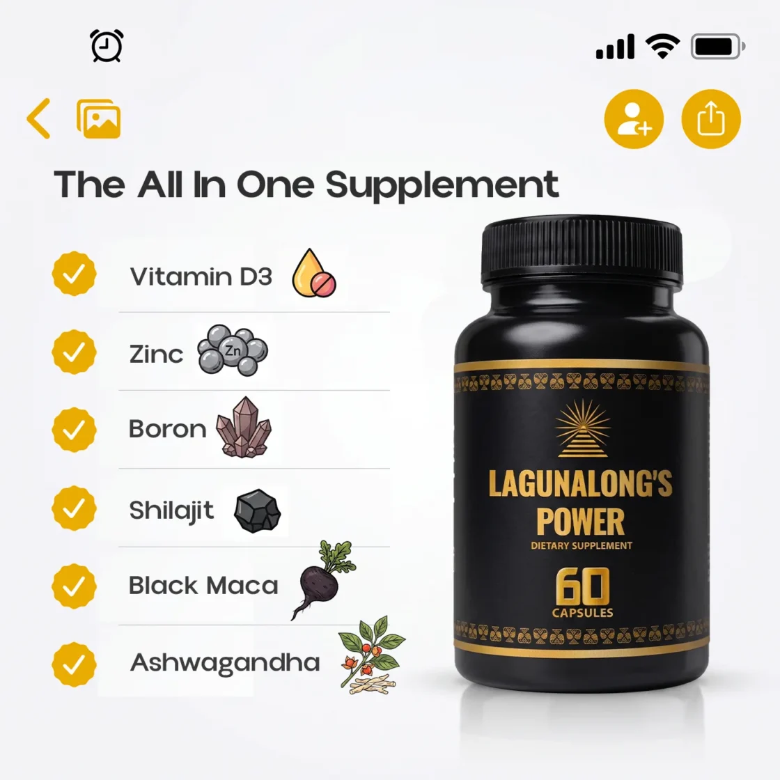 Lagunalong 8 0f 8